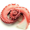 Tentacules de calamar cuit 2